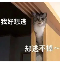 图片[2]-别再被论文降重逼疯！5大降重技巧让你轻松过关！-第60期-小张改写